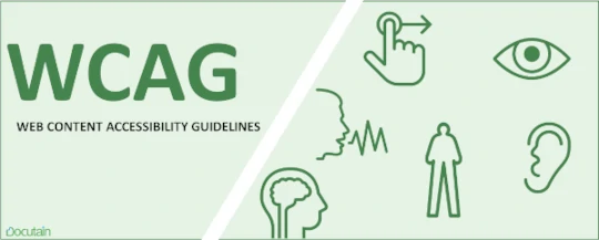 Web Content Accessibility Guidelines Explained